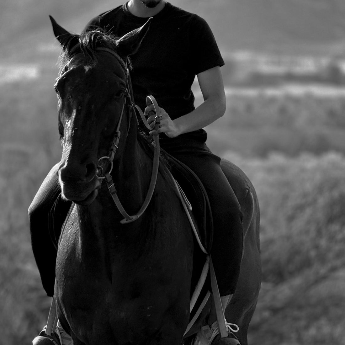 The Ancient Bond: What Horses Taught Us About Carrying What Matters