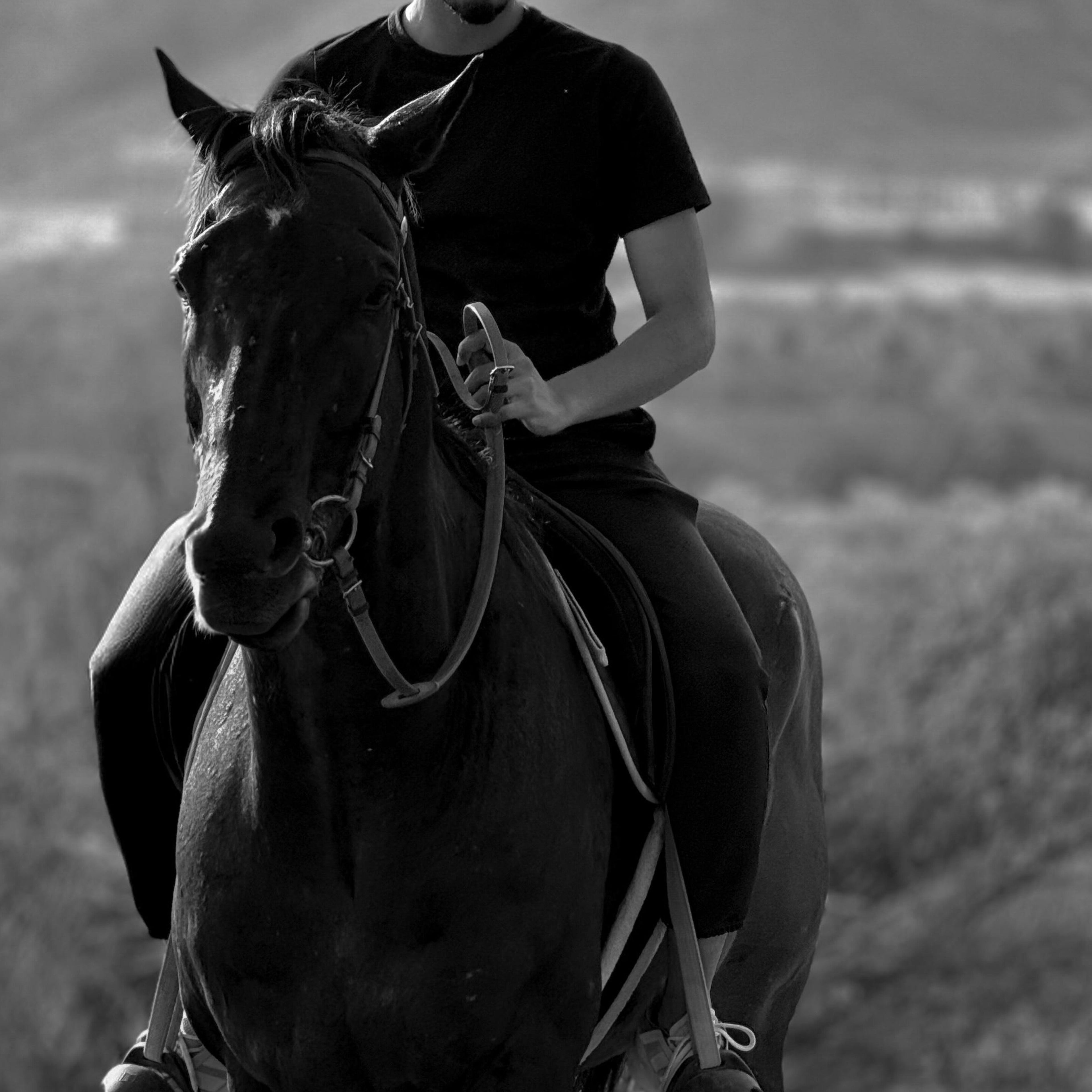 The Ancient Bond: What Horses Taught Us About Carrying What Matters